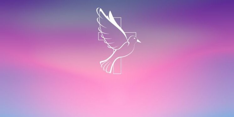 Evanđelje dana, 12.12.2025.