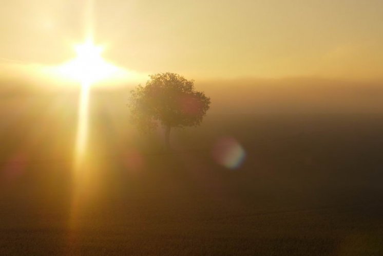 Evanđelje dana, 10.04.2026.